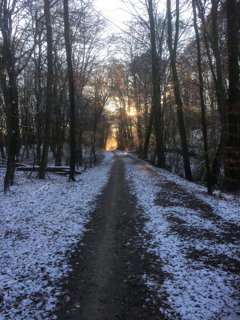 Banestien i frost